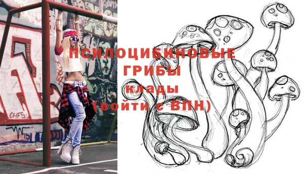 герыч Сафоново