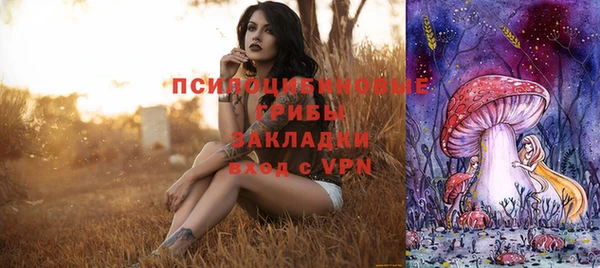 ПСИЛОЦИБИНОВЫЕ ГРИБЫ Беломорск