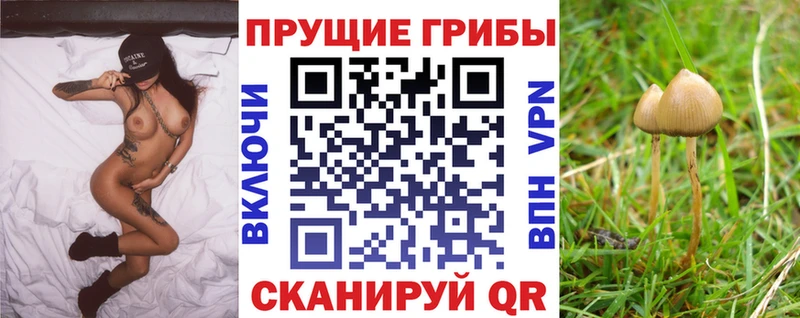MEGA зеркало  Ельня  Галлюциногенные грибы мицелий 